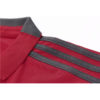 Polo Bayern Munich 2018-2019 Rojo Oscuro - Image 6