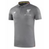 Polo Liverpool 2018-2019 Gris