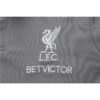 Polo Liverpool 2018-2019 Gris - Image 4