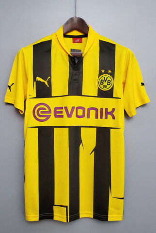 Borussia 2012-2013 Local